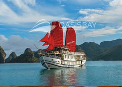 Tour: Ha Long Bay 3 days 2 nights (Oassis Bay cruise 4 star )
