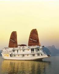 Tour: HA LONG BAY 2 DAYS 1 NIGHT ON ROSA CRUISE