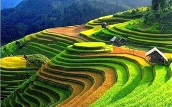 Tour: SAPA 2 DAYS 1 NIGHT (OVERNIGHT IN HOTEL, BY SLEEPING BUS )