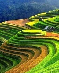 Tour: SAPA 2 DAYS 1 NIGHT (OVERNIGHT IN HOTEL, BY SLEEPING BUS )