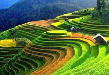 Tour: SAPA 2 DAYS 1 NIGHT (OVERNIGHT IN HOTEL, BY SLEEPING BUS )