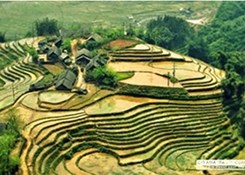 Tour: SAPA BY BUS 3 DAYS - 2 NIGHTS (1 NIGHT IN TA VAN VILLAGE, 1 NIGHT IN HOTEL) GS5