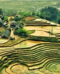 Tour: SAPA BY BUS 3 DAYS - 2 NIGHTS (1 NIGHT IN TA VAN VILLAGE, 1 NIGHT IN HOTEL) GS5