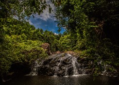 Tour: NATIONAL PARKS IN VIETNAM