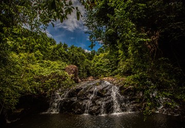 Tour: NATIONAL PARKS IN VIETNAM