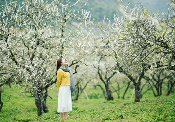 Tour: BUS MOC CHAU - MAI CHAU